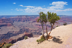The Grand Canyon Camping-  probably the most beautiful hole in Earth!
